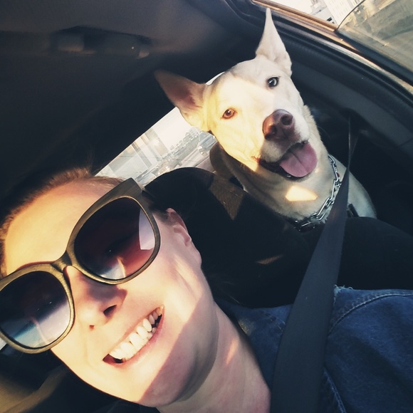 Meet your Posher, Jamie - Picture 1 of 1